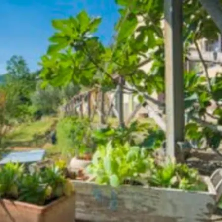 Il Castagneto Holiday home Pontassieve