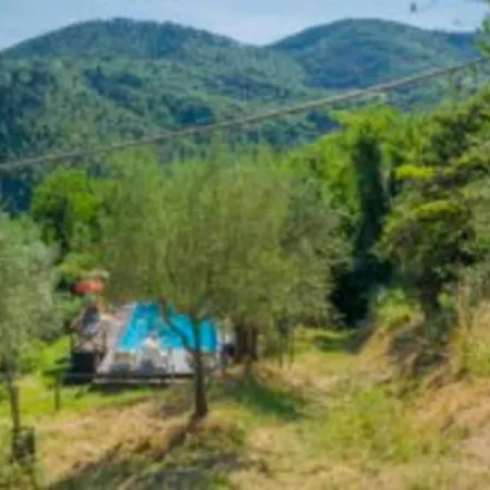 Holiday home Il Castagneto *